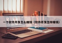 一个软件开发怎么赚钱（软件开发怎样赚钱）